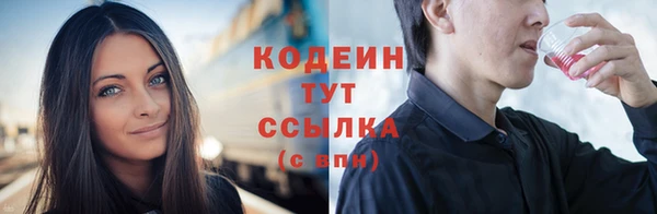 СК Бородино