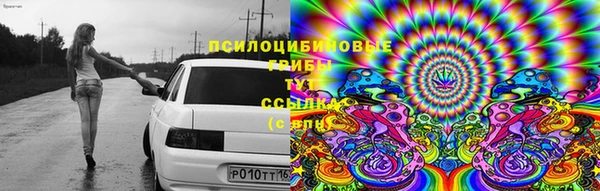СК Бронницы