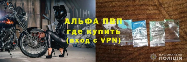 СК Бородино