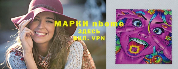 СК Бронницы